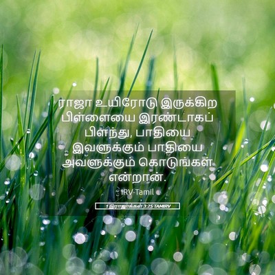 Picture 05 - 1 இராஜாக்கள் 3:25 TAMIRV - ராஜா உயிரோடு - Bible Verse Picture