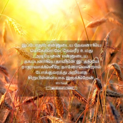 Picture 05 - 1 இராஜாக்கள் 3:7 TAMIRV - இப்போதும் - Bible Verse Picture