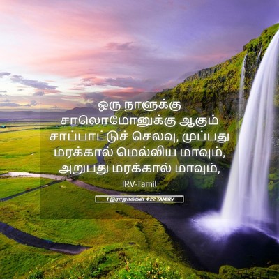 Picture 05 - 1 இராஜாக்கள் 4:22 TAMIRV - ஒரு நாளுக்கு - Bible Verse Picture
