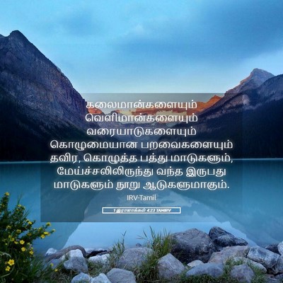 Picture 05 - 1 இராஜாக்கள் 4:23 TAMIRV - கலைமான்களையும் - Bible Verse Picture