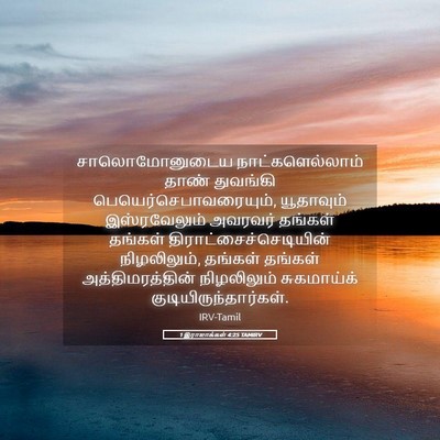 Picture 05 - 1 இராஜாக்கள் 4:25 TAMIRV - சாலொமோனுடைய - Bible Verse Picture