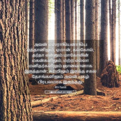Picture 05 - 1 இராஜாக்கள் 4:31 TAMIRV - அவன் - Bible Verse Picture