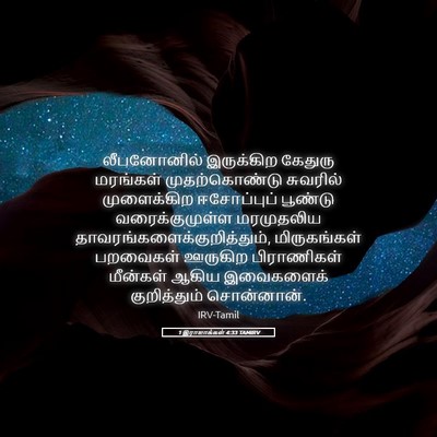 Picture 05 - 1 இராஜாக்கள் 4:33 TAMIRV - லீபனோனில் - Bible Verse Picture