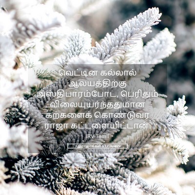 Picture 05 - 1 இராஜாக்கள் 5:17 TAMIRV - வெட்டின கல்லால் - Bible Verse Picture