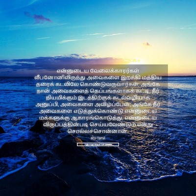 Picture 05 - 1 இராஜாக்கள் 5:9 TAMIRV - என்னுடைய - Bible Verse Picture