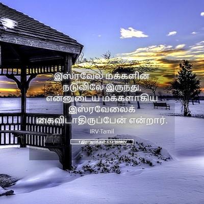 Picture 05 - 1 இராஜாக்கள் 6:13 TAMIRV - இஸ்ரவேல் மக்களின் - Bible Verse Picture