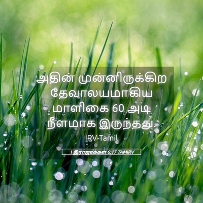 Picture 05 - 1 இராஜாக்கள் 6:17 TAMIRV - அதின் - Bible Verse Picture