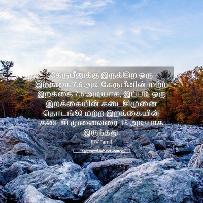 Picture 05 - 1 இராஜாக்கள் 6:24 TAMIRV - கேருபீனுக்கு - Bible Verse Picture