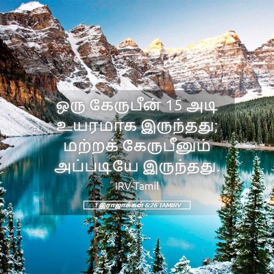 Picture 05 - 1 இராஜாக்கள் 6:26 TAMIRV - ஒரு கேருபீன் 15 அடி - Bible Verse Picture