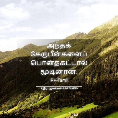 Picture 05 - 1 இராஜாக்கள் 6:28 TAMIRV - அந்தக் - Bible Verse Picture