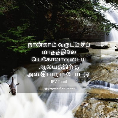 Picture 05 - 1 இராஜாக்கள் 6:37 TAMIRV - நான்காம் வருடம் - Bible Verse Picture