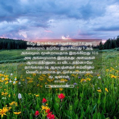 Picture 05 - 1 இராஜாக்கள் 6:6 TAMIRV - கீழே இருக்கிற - Bible Verse Picture