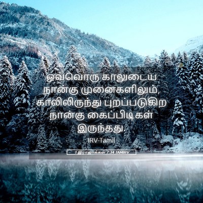 Picture 05 - 1 இராஜாக்கள் 7:34 TAMIRV - ஒவ்வொரு காலுடைய - Bible Verse Picture