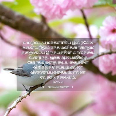 Picture 05 - 1 இராஜாக்கள் 8:38 TAMIRV - உம்முடைய - Bible Verse Picture
