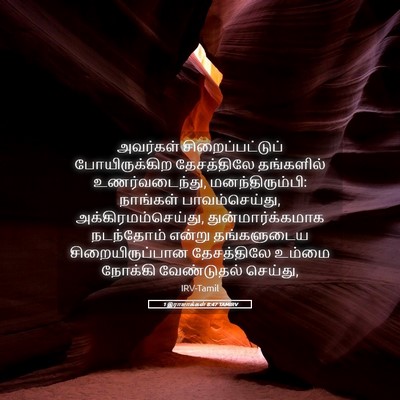 Picture 05 - 1 இராஜாக்கள் 8:47 TAMIRV - அவர்கள் - Bible Verse Picture