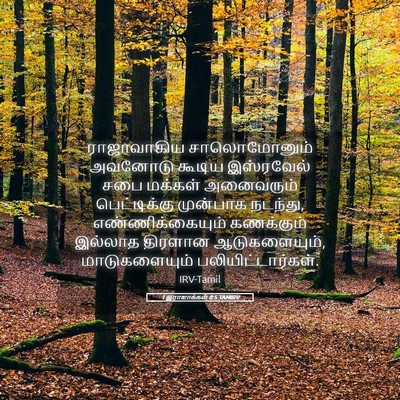 Picture 05 - 1 இராஜாக்கள் 8:5 TAMIRV - ராஜாவாகிய - Bible Verse Picture