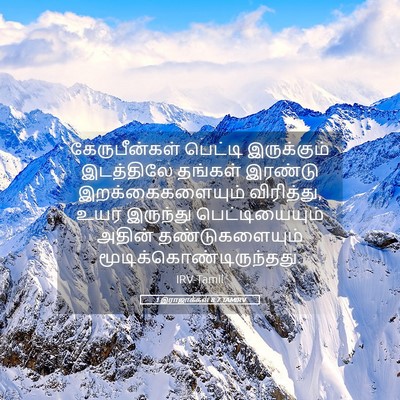 Picture 05 - 1 இராஜாக்கள் 8:7 TAMIRV - கேருபீன்கள் - Bible Verse Picture