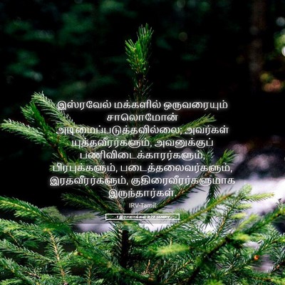Picture 05 - 1 இராஜாக்கள் 9:22 TAMIRV - இஸ்ரவேல் மக்களில் - Bible Verse Picture