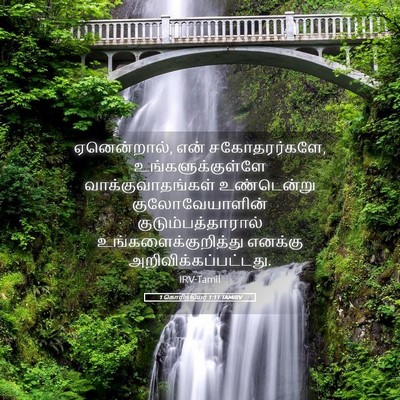 Picture 05 - 1 கொரிந்தியர் 1:11 TAMIRV - ஏனென்றால், என் - Bible Verse Picture