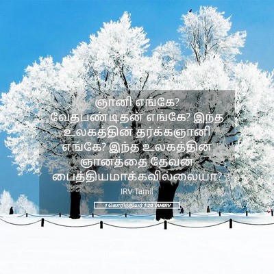 Picture 05 - 1 கொரிந்தியர் 1:20 TAMIRV - ஞானி எங்கே? - Bible Verse Picture