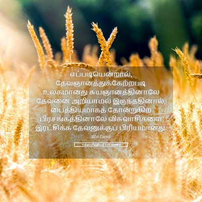 Picture 05 - 1 கொரிந்தியர் 1:21 TAMIRV - எப்படியென்றால், - Bible Verse Picture