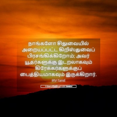 Picture 05 - 1 கொரிந்தியர் 1:23 TAMIRV - நாங்களோ - Bible Verse Picture