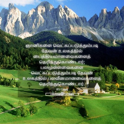 Picture 05 - 1 கொரிந்தியர் 1:27 TAMIRV - ஞானிகளை - Bible Verse Picture