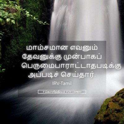 Picture 05 - 1 கொரிந்தியர் 1:29 TAMIRV - மாம்சமான எவனும் - Bible Verse Picture