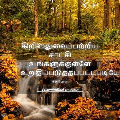 Picture 05 - 1 கொரிந்தியர் 1:4 TAMIRV -  - Bible Verse Picture