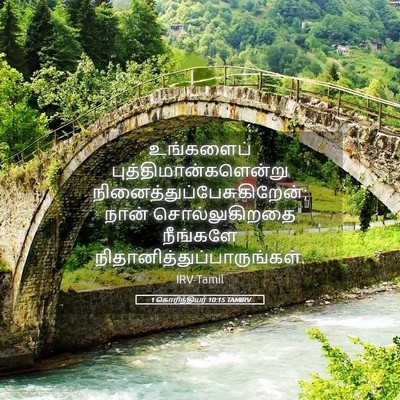 Picture 05 - 1 கொரிந்தியர் 10:15 TAMIRV - உங்களைப் - Bible Verse Picture
