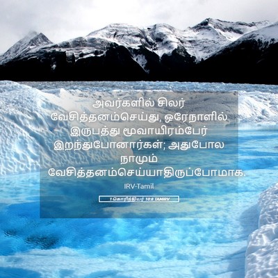 Picture 05 - 1 கொரிந்தியர் 10:8 TAMIRV - அவர்களில் சிலர் - Bible Verse Picture