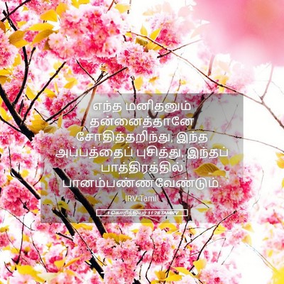Picture 05 - 1 கொரிந்தியர் 11:28 TAMIRV - எந்த மனிதனும் - Bible Verse Picture