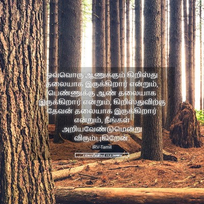 Picture 05 - 1 கொரிந்தியர் 11:3 TAMIRV - ஒவ்வொரு ஆணுக்கும் - Bible Verse Picture