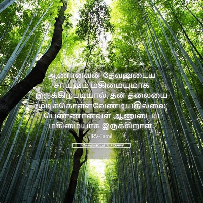Picture 05 - 1 கொரிந்தியர் 11:7 TAMIRV - ஆணானவன் தேவனுடைய - Bible Verse Picture