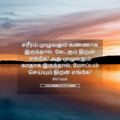 Picture 05 - 1 கொரிந்தியர் 12:17 TAMIRV - சரீரம் முழுவதும் - Bible Verse Picture