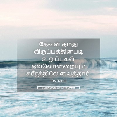 Picture 05 - 1 கொரிந்தியர் 12:18 TAMIRV - தேவன் தமது - Bible Verse Picture
