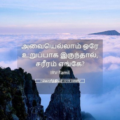 Picture 05 - 1 கொரிந்தியர் 12:19 TAMIRV - அவையெல்லாம் ஒரே - Bible Verse Picture