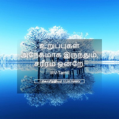 Picture 05 - 1 கொரிந்தியர் 12:20 TAMIRV - உறுப்புகள் - Bible Verse Picture