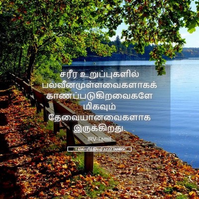 Picture 05 - 1 கொரிந்தியர் 12:22 TAMIRV - சரீர உறுப்புகளில் - Bible Verse Picture