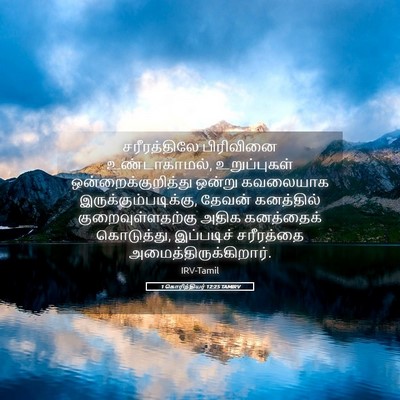 Picture 05 - 1 கொரிந்தியர் 12:25 TAMIRV - சரீரத்திலே - Bible Verse Picture