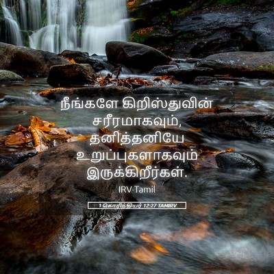 Picture 05 - 1 கொரிந்தியர் 12:27 TAMIRV - நீங்களே - Bible Verse Picture