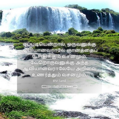 Picture 05 - 1 கொரிந்தியர் 12:8 TAMIRV - எப்படியென்றால், - Bible Verse Picture