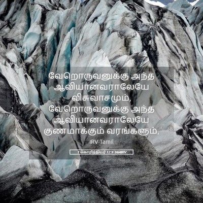 Picture 05 - 1 கொரிந்தியர் 12:9 TAMIRV - வேறொருவனுக்கு - Bible Verse Picture