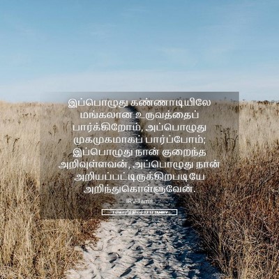 Picture 05 - 1 கொரிந்தியர் 13:12 TAMIRV - இப்பொழுது - Bible Verse Picture