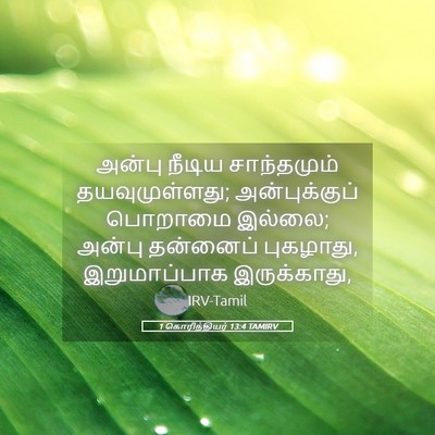 Picture 05 - 1 கொரிந்தியர் 13:4 TAMIRV - அன்பு நீடிய - Bible Verse Picture
