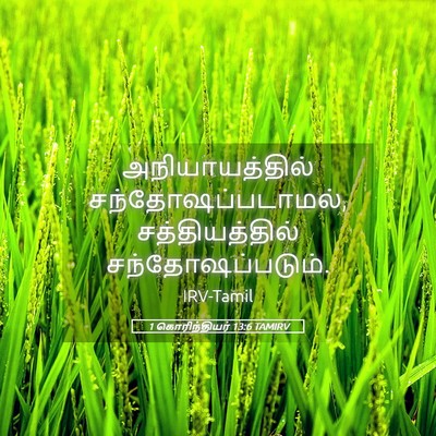 Picture 05 - 1 கொரிந்தியர் 13:6 TAMIRV - அநியாயத்தில் - Bible Verse Picture