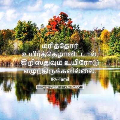 Picture 05 - 1 கொரிந்தியர் 15:16 TAMIRV - மரித்தோர் - Bible Verse Picture