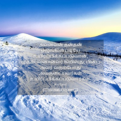 Picture 05 - 1 கொரிந்தியர் 15:23 TAMIRV - அவனவன் தன்தன் - Bible Verse Picture
