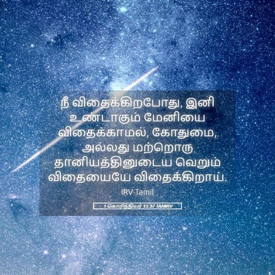 Picture 05 - 1 கொரிந்தியர் 15:37 TAMIRV - நீ விதைக்கிறபோது, - Bible Verse Picture