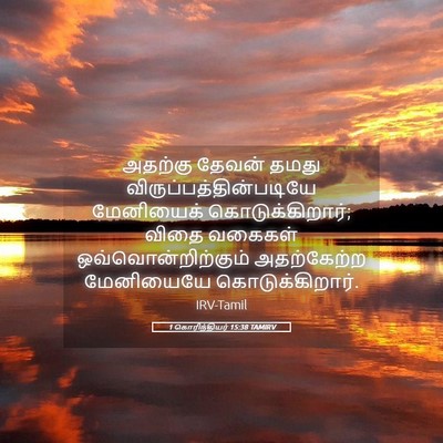 Picture 05 - 1 கொரிந்தியர் 15:38 TAMIRV - அதற்கு தேவன் தமது - Bible Verse Picture